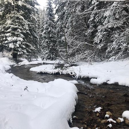 Вілла Hot Tub Chalet Retreat Брашов Екстер'єр фото
